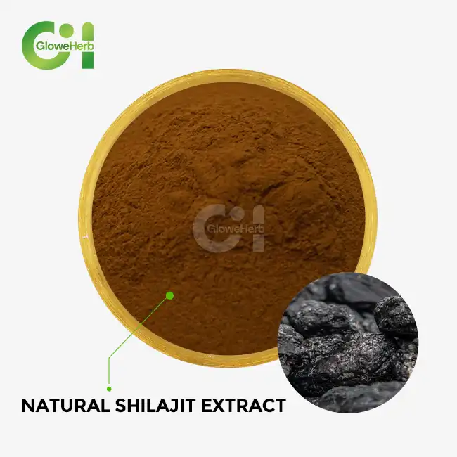 natural shilajit extract